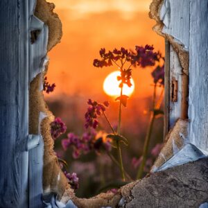 Crossing the Threshold with Courage