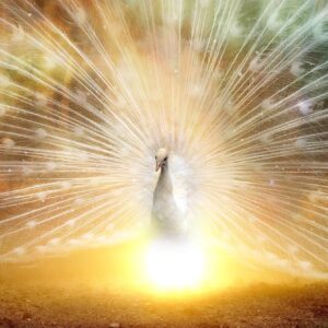 Awaken Innate Magnificence